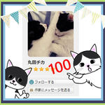 感謝企画開催①黄色紐ねずみ