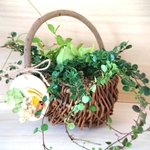 【1点もの】小さな寄せ植え〜アロマワックスサシェ付