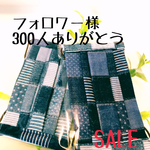 マスク2枚セット
