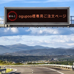 ogupoo様専用ご注文ページ