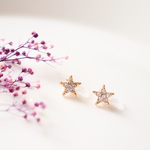 gold star♡　樹脂ノンホールピアス（イヤリング）