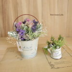 Petit Green Arrange 164