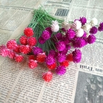 ドライフラワー  千日紅(ワイヤー付き)  