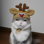 赤鼻のトニャカイ