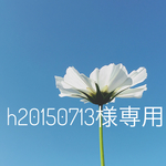 h20150713さま専用 ニスワッグ壁掛け⑥