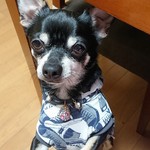 お客様専用窓口