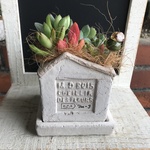 多肉植物寄せ植え HOW