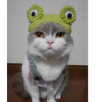 カエル🐸 猫用帽子 犬用帽子