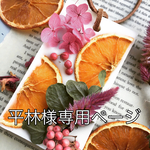 平林様専用ページ