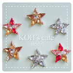 HOPE STAR《希望の星》のピアス クリスタル