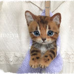 ☆erikonahaさまご購入ご予約品くつしたにゃんこ☆彡ベンガル猫