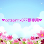 ❤︎cotsprrix007様専用❤︎