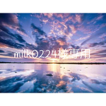milk0224様専用