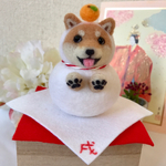 2018年干支 鏡餅の着ぐるみを着た柴犬 戌年