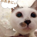 tyu-raさま専用ページ