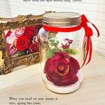 Red Red Rose Peony Antique Bottle【L size】