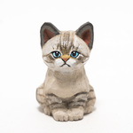 コルクのシャムトラ子猫