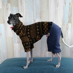 ネイティブ柄  ロンパース　イタグレ服