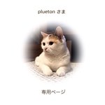 pluetonさま 専用ページ