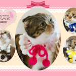 フリーサイズのふりふりクシュクシュのケープ♬猫、犬、ペット用
