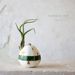  pumpkin pot　(bottle)　グリーン三角