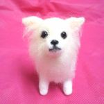 beepbeep10様　専用ページ　チワワ