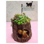 ☆ご好評商品New ver.新登場☆ 切り株風多肉植物