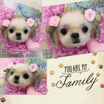 pinkrouge様 犬わんこ羊毛フェルトストラップ