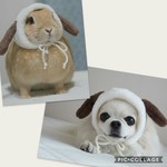 オーダー・来年の干支・犬 戌🐶たれみみさんのかぶりもの/被り物/帽子/ねこ/うさぎ