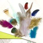 秋のSALE☆超お得・フェザーmixセットE 羽根 素材