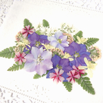 【再販】押し花素材～千鳥草セット2～