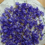 ドライフラワー　スターチスの花びら　紫