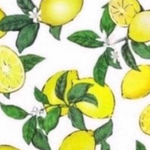 gさま専用♡