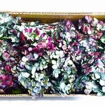再販～紫陽花ドライフラワーのヘッドやパーツのセット１０個　８０cmサイズ