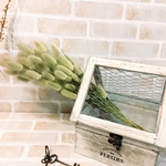 15本300円＊緑のラグラス☆ドライフラワー