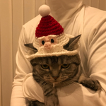 再再販！猫用帽子 サンタクロース