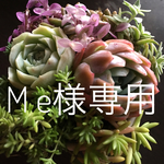 M e様 専用 スワッグでガーランド⑩