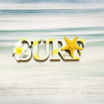 SURF インテリアロゴ