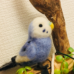 インコのピーちゃん☆送料無料！