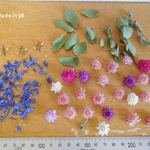 ドライフラワー 千日紅 ユーカリ 花びら 南天 レジン キャンドル ハーバリウム 植物標本 材料