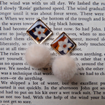 ⚫︎pompon earrings⚫︎WH