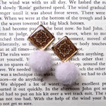 ⚫︎pompon earrings⚫︎WG