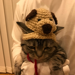 再販！猫用帽子 垂れ耳わんちゃん
