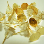 ２０個☆皿付きステンレス製ピアス（ゴールド）樹脂製キャッチ付き（S-79）