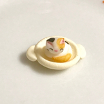 鍋豆猫ちゃん (三毛)