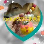 kimikun509様専用ページ