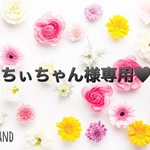 送料込み＊太陽パーツピアス