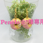 Penelo❀*様専用作品