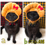 チェック柄蝶ネクタイ猫ちゃんの首輪
