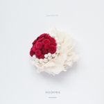 barrette " lady "005